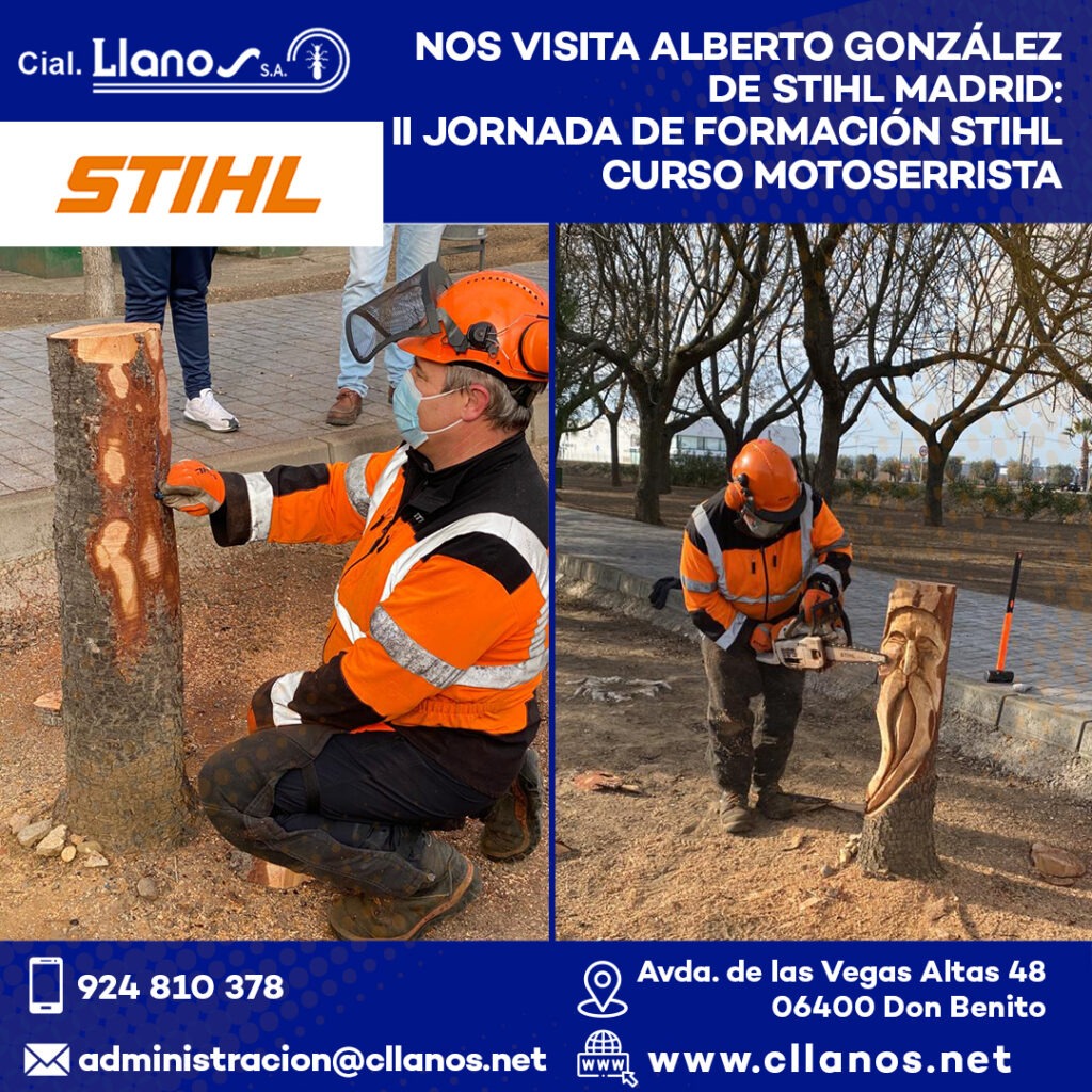 II Jornada de Formación Stihl-curso motoserrista